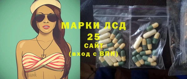 ГАЛЛЮЦИНОГЕННЫЕ ГРИБЫ Баксан
