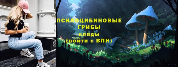 ГАЛЛЮЦИНОГЕННЫЕ ГРИБЫ Баксан