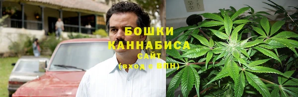 ГАЛЛЮЦИНОГЕННЫЕ ГРИБЫ Баксан
